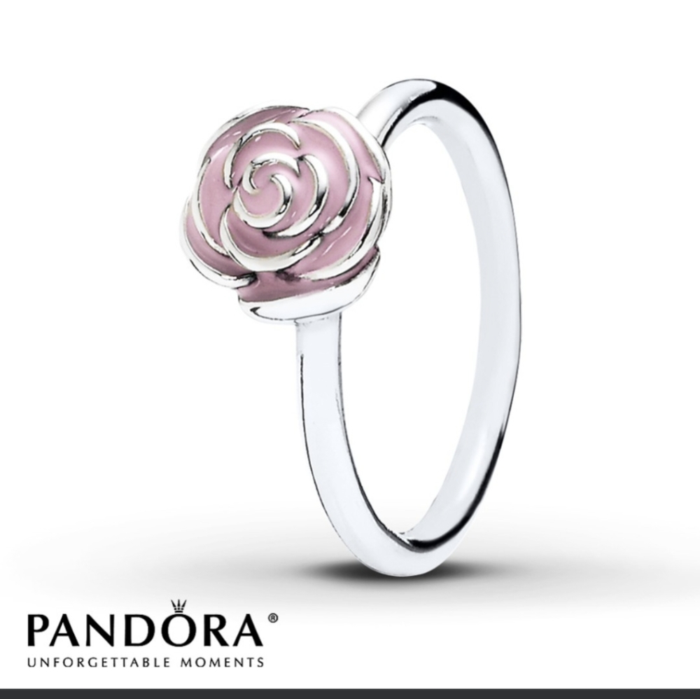 PANDORA Silver Rose Garden with Pink enamel (discontinued)